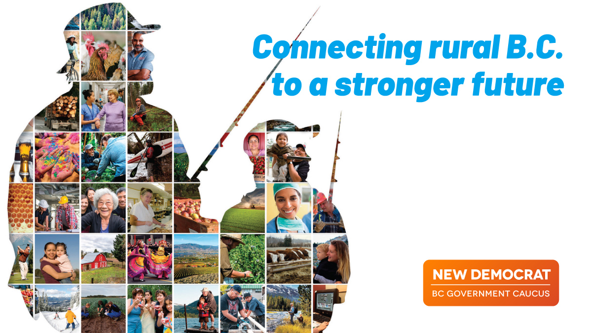 NDP MLA Brittny Anderson says rural strategy will build stronger ...